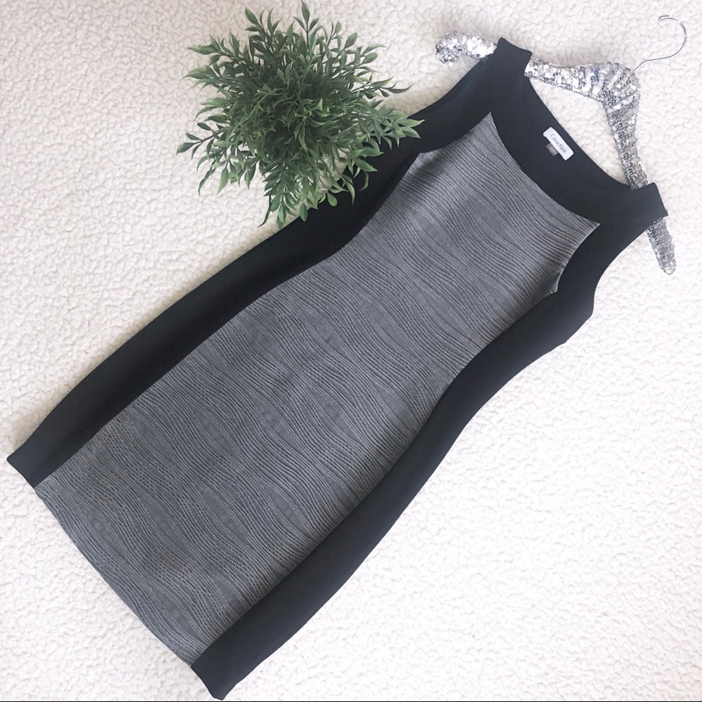 ✨Calvin Klein Professional Dress